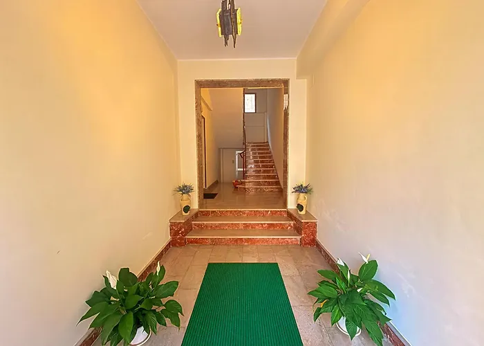 Terrace * טראפאני